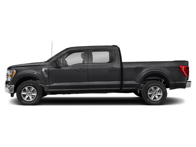 2023 Ford F-150 XLT 4WD