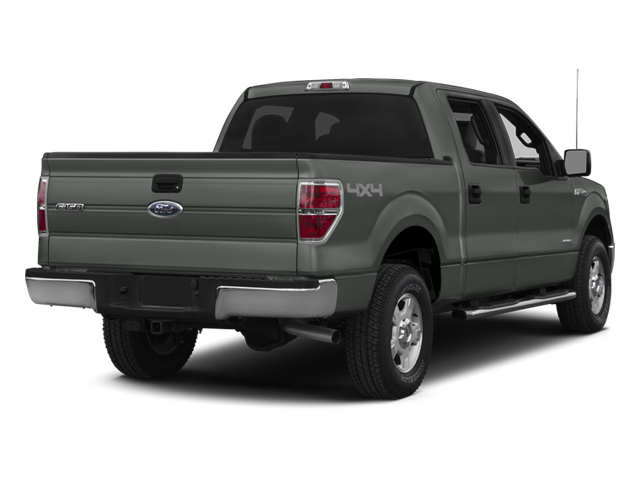 Used 2014 Ford F-150 XLT with VIN 1FTFW1ET5EFB49221 for sale in Conyers, GA