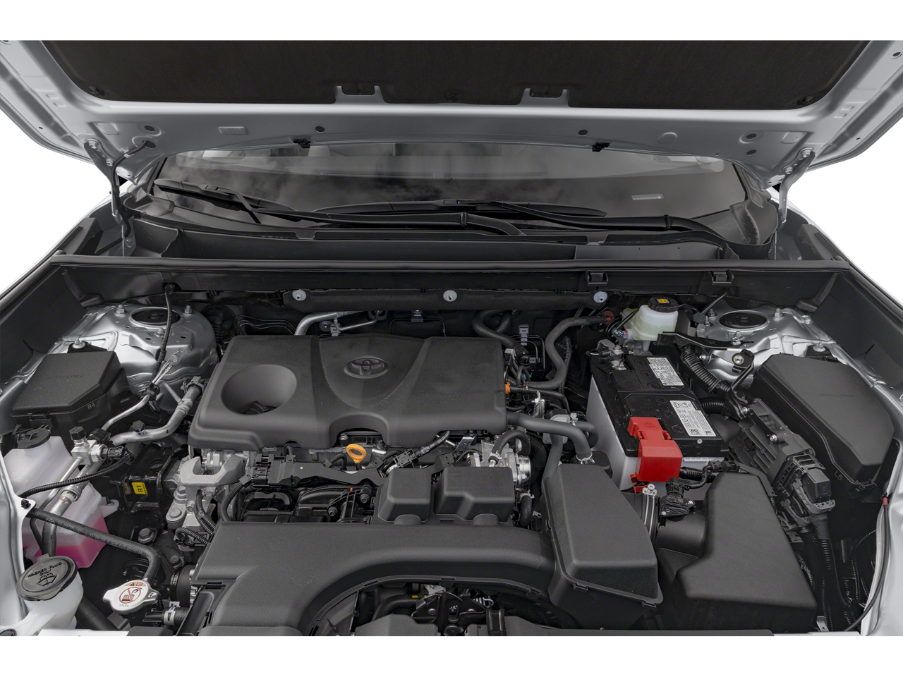 2024 Toyota RAV4 XLE XP Trail