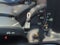 2026 Ford Mustang Dark Horse WHIPPLE SUPERCHARGED