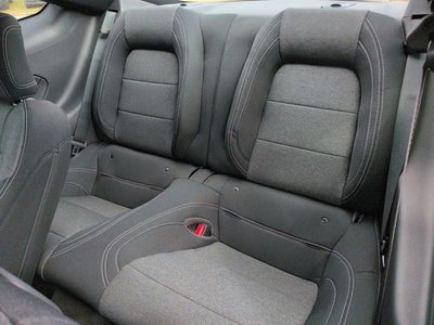 2026 Ford Mustang EcoBoost CC