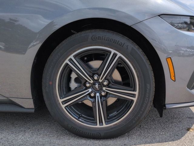 2025 Ford Mustang EcoBoost CC