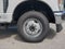 2025 Ford F-350SD XL DRW