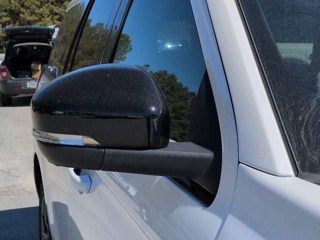 2025 Ford Expedition Platinum Stealth