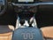 2023 Ford F-250SD King Ranch 4WD FX4