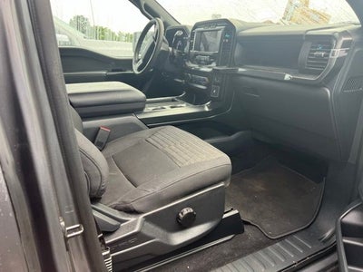 2023 Ford F-150 XL STX