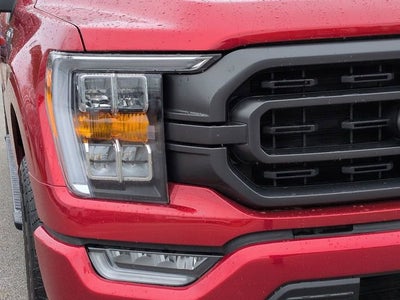 2023 Ford F-150 XLT 4WD