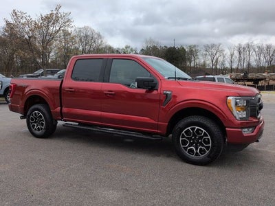 2023 Ford F-150 XLT 4WD