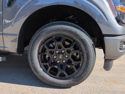 2025 Ford F-150 XLT CC