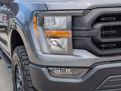 2023 Ford F-150 XL 4WD Rattler