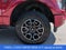 2022 Ford F-150 XLT 4WD FX4