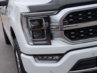 2023 Ford F-150 Platinum 4WD FX4 DP