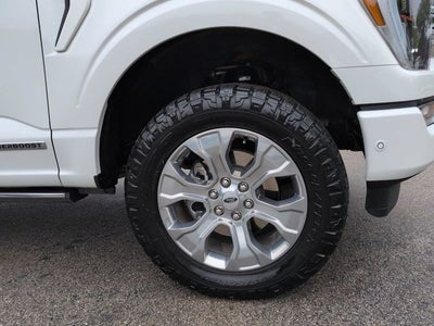 2023 Ford F-150 Platinum 4WD FX4 DP