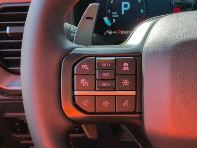 2026 Ford F-150 Raptor DP