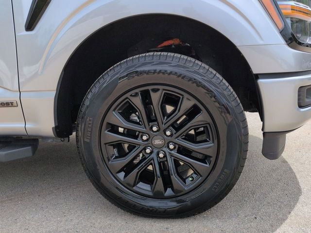 2024 Ford F-150 XLT 4WD