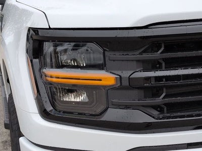 2025 Ford F-150 XLT cc