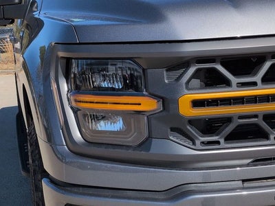 2025 Ford F-150 Tremor DP