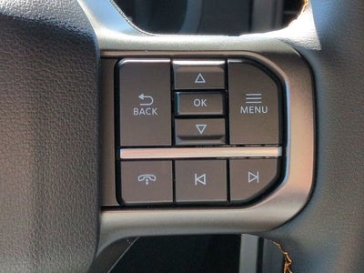 2025 Ford F-150 Tremor DP