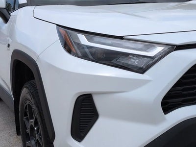 2024 Toyota RAV4 XLE XP Trail