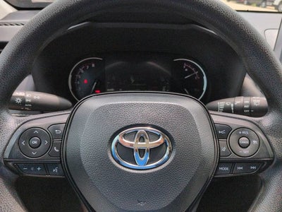 2024 Toyota RAV4 XLE XP Trail
