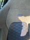 2026 Volkswagen Golf R 2.0T AWD Euro